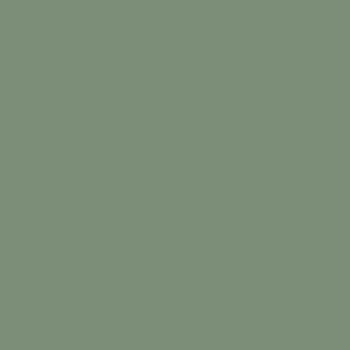 PF06 膚感灰綠 PF06 膚感灰綠